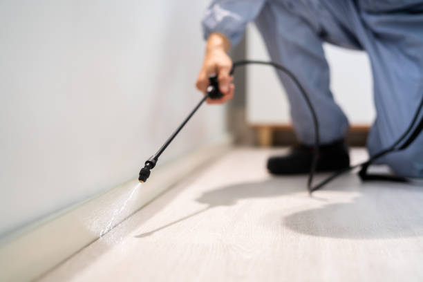 Licensed Pest Control service in Arvada, CO - Show Me Pest Control